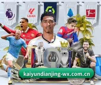 开云电竞 APP（Kaiyun Esport）